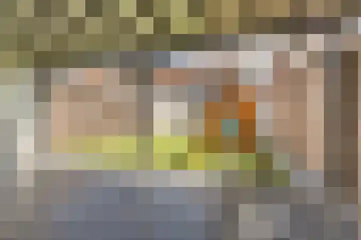 Vogelpoelstraat 11 Geldrop thumbnail 32