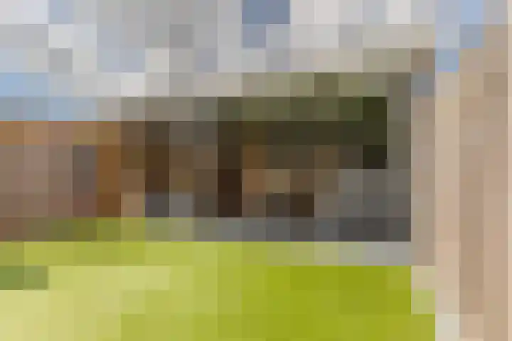 Vogelpoelstraat 11 Geldrop thumbnail 33