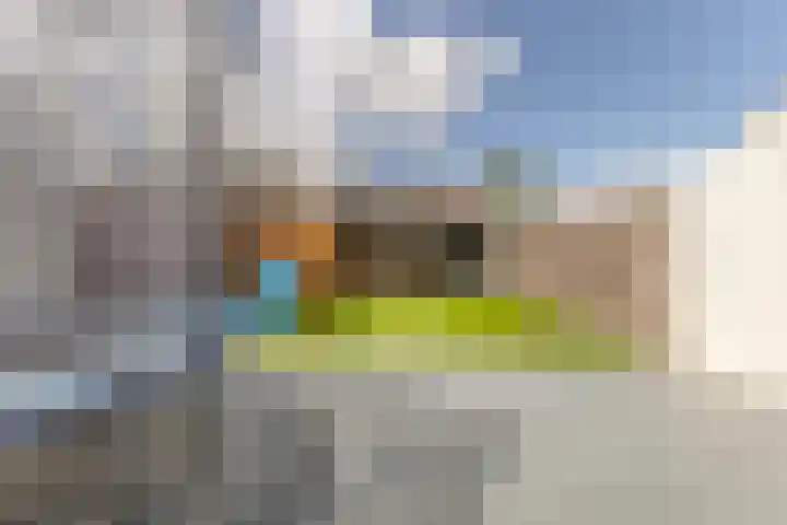Vogelpoelstraat 11 Geldrop thumbnail 34