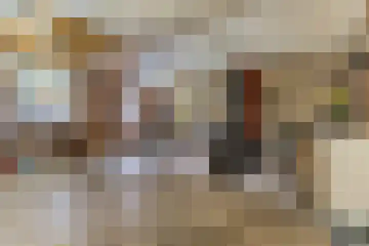 Vogelpoelstraat 11 Geldrop thumbnail 35