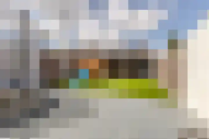 Vogelpoelstraat 11 Geldrop thumbnail 4