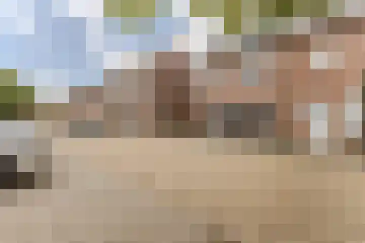 Vogelpoelstraat 11 Geldrop thumbnail 6