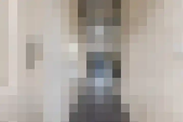 Vogelpoelstraat 11 Geldrop thumbnail 7
