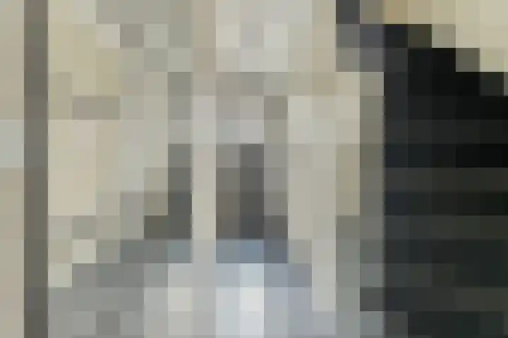 Vogelpoelstraat 11 Geldrop thumbnail 8