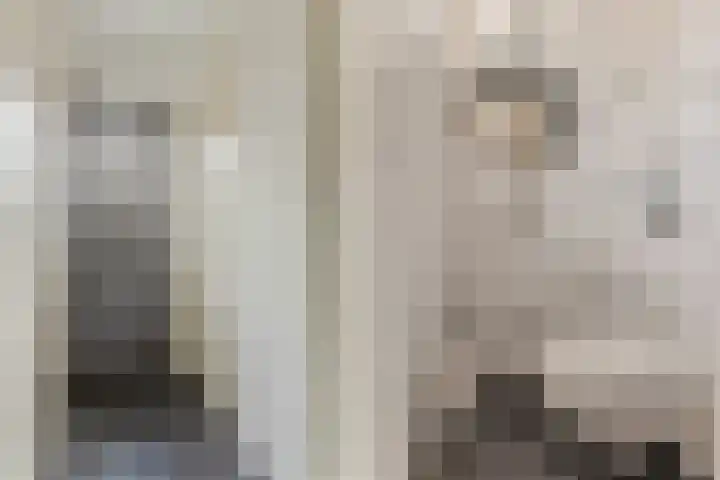 Vogelpoelstraat 11 Geldrop thumbnail 9