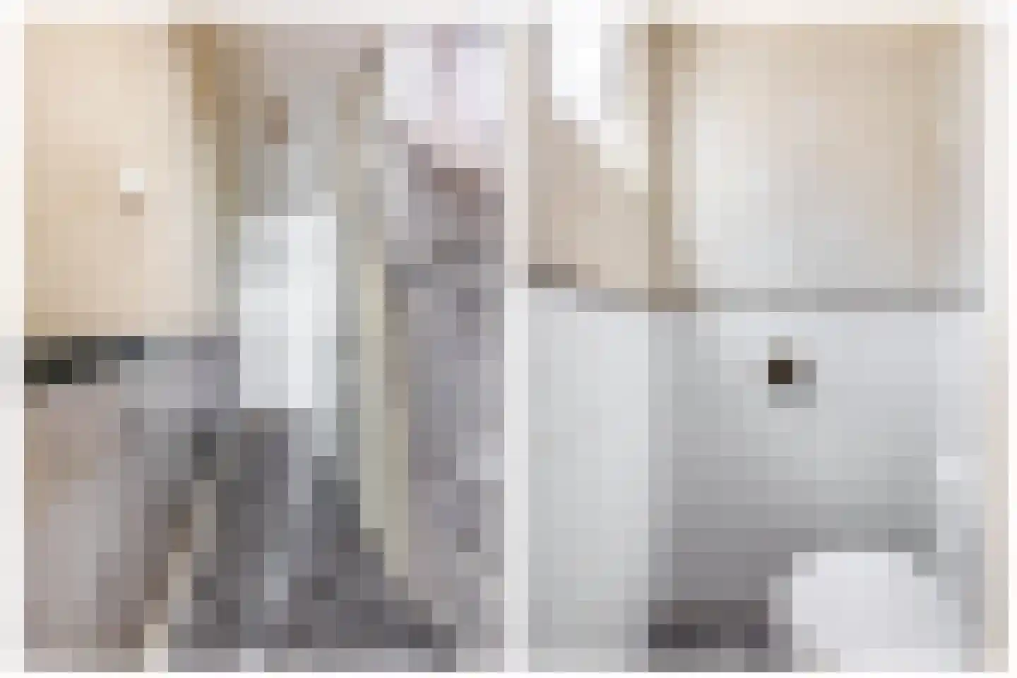 Vogelpoelstraat 22 Geldrop thumbnail 13