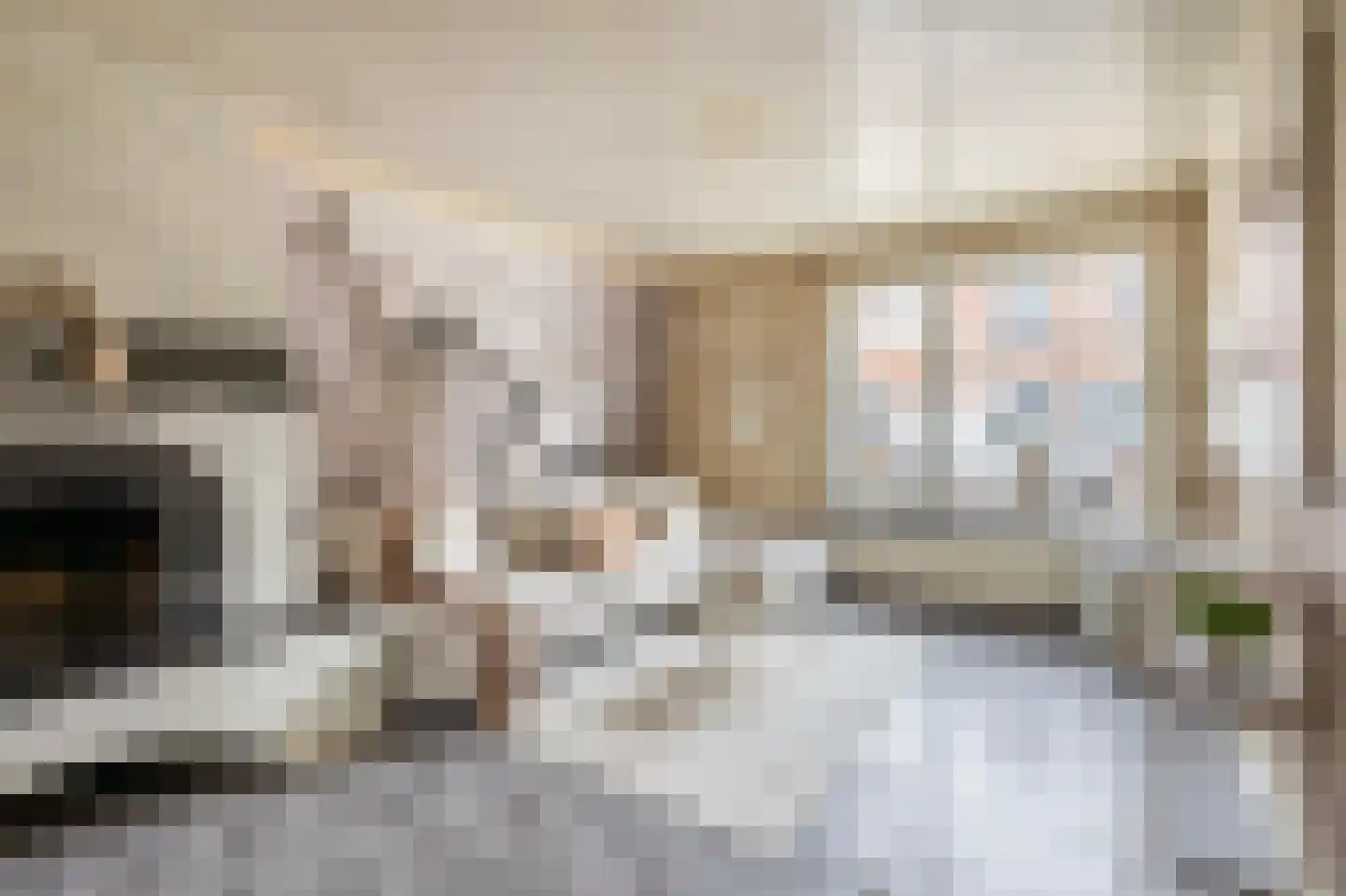 Vogelpoelstraat 22 Geldrop thumbnail 16