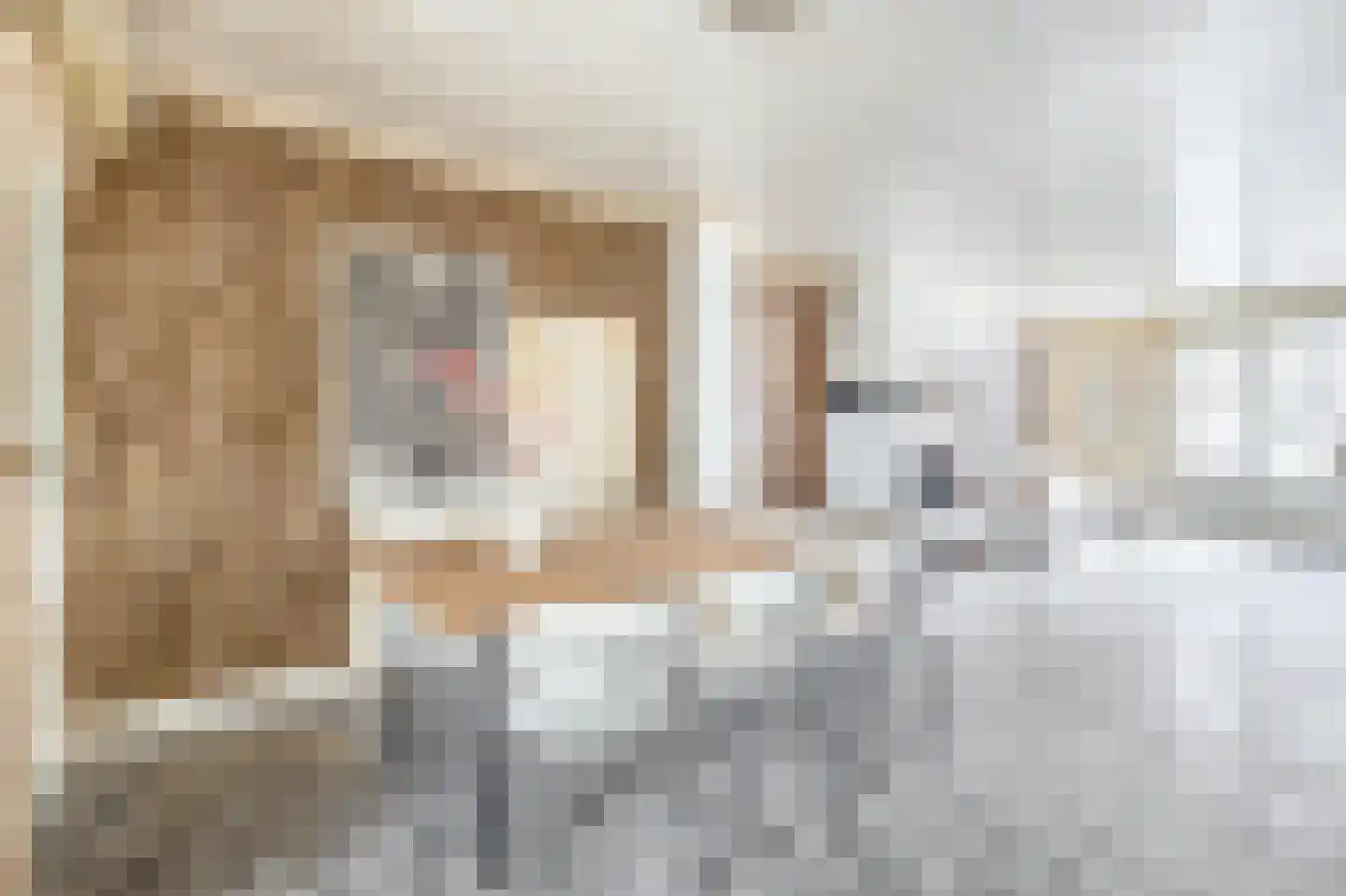 Vogelpoelstraat 22 Geldrop thumbnail 17