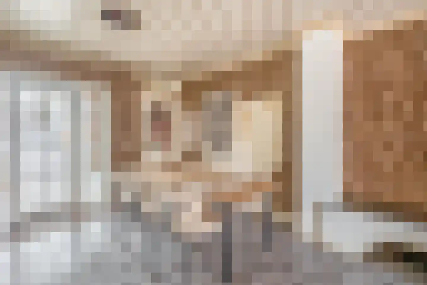 Vogelpoelstraat 22 Geldrop thumbnail 18