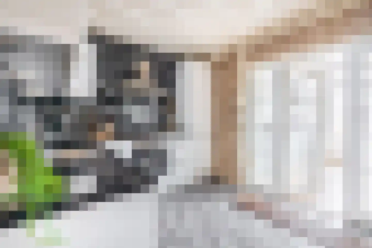 Vogelpoelstraat 22 Geldrop thumbnail 23