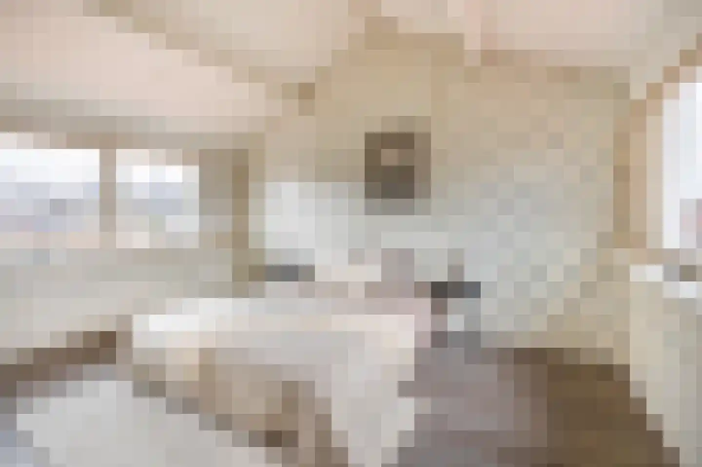 Vogelpoelstraat 22 Geldrop thumbnail 30
