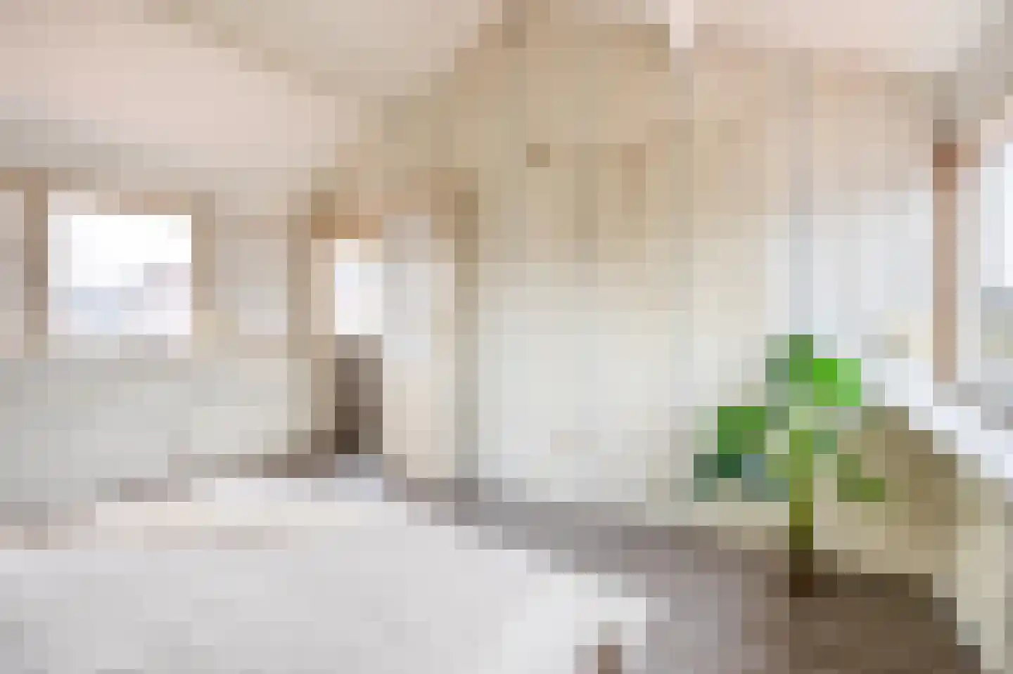 Vogelpoelstraat 22 Geldrop thumbnail 31