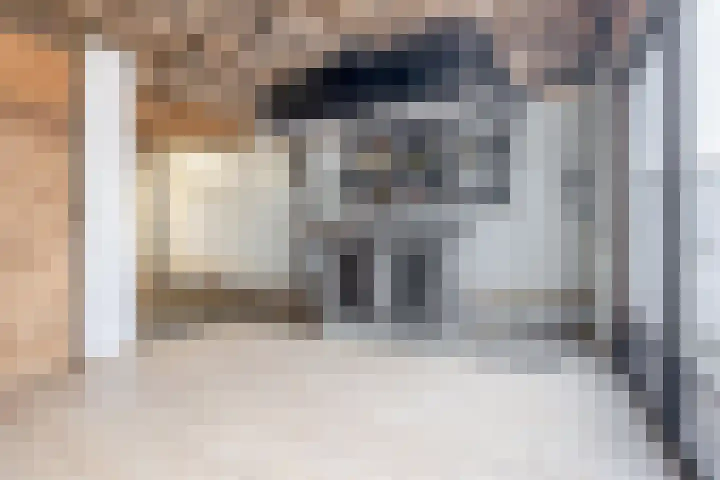 Vogelpoelstraat 22 Geldrop thumbnail 34