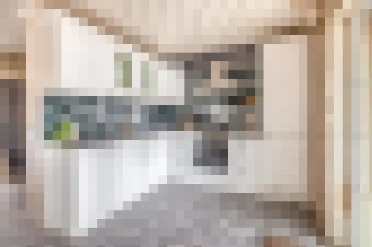 Vogelpoelstraat 22 Geldrop thumbnail 4