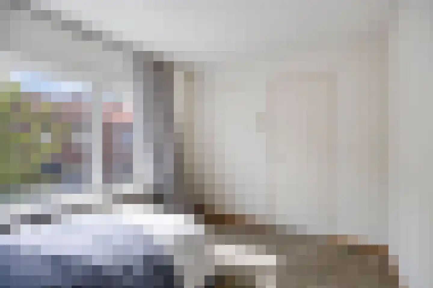 Vogelpoelstraat 26 Geldrop thumbnail 21