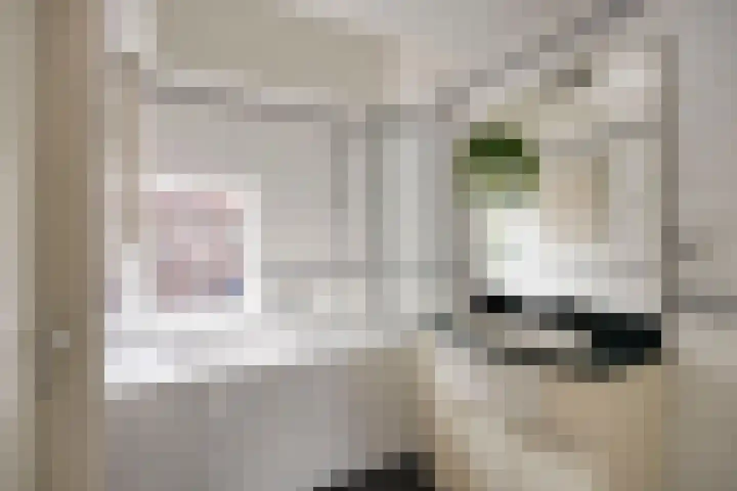 Vogelpoelstraat 26 Geldrop thumbnail 22