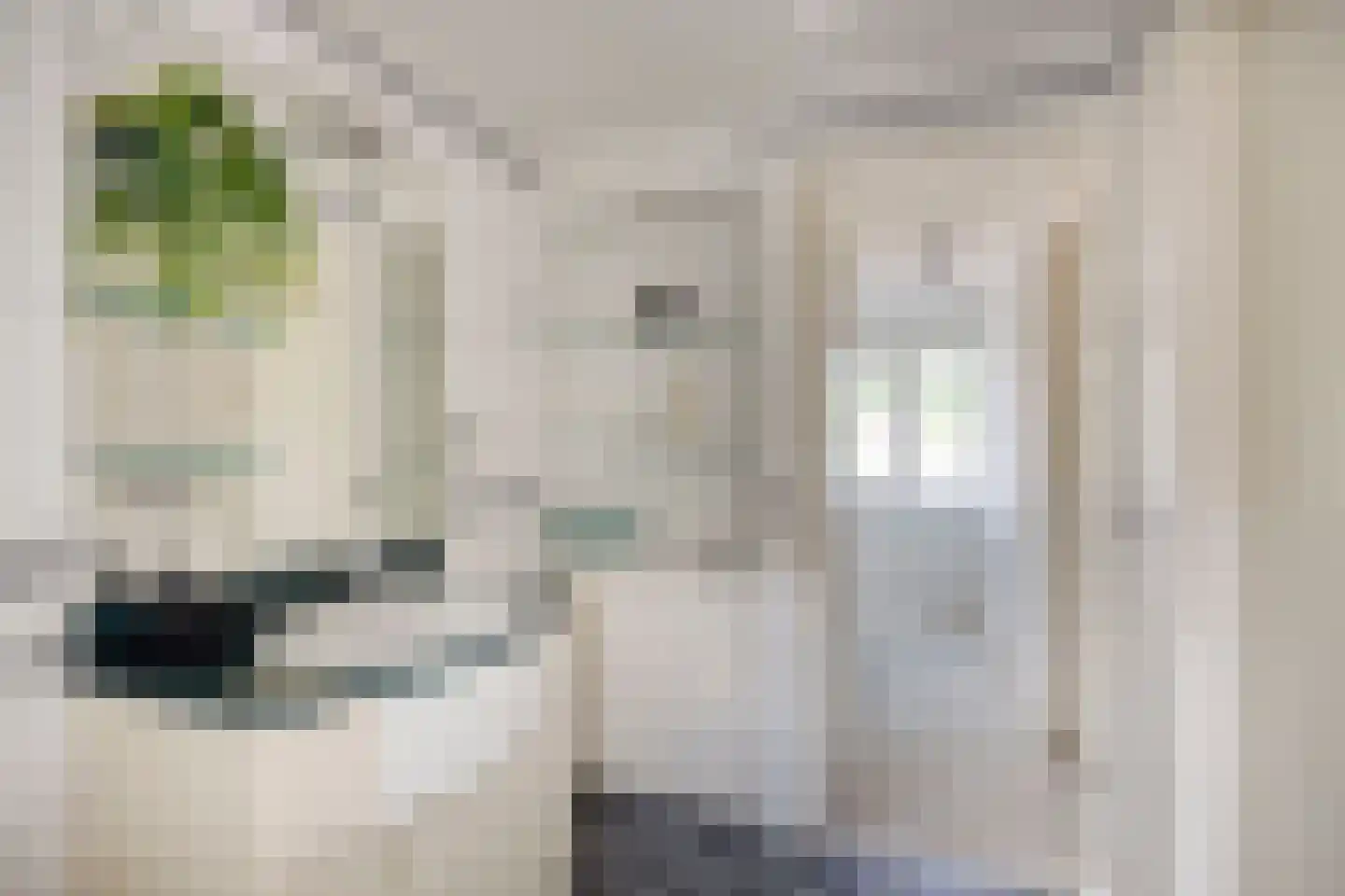Vogelpoelstraat 26 Geldrop thumbnail 23