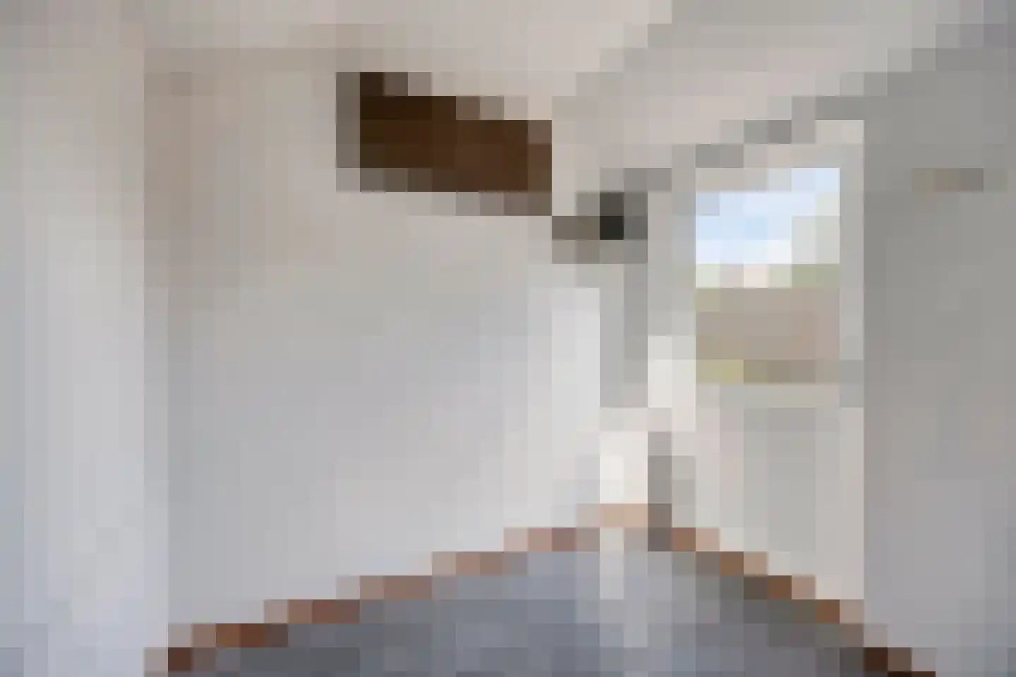 Vogelpoelstraat 26 Geldrop thumbnail 30