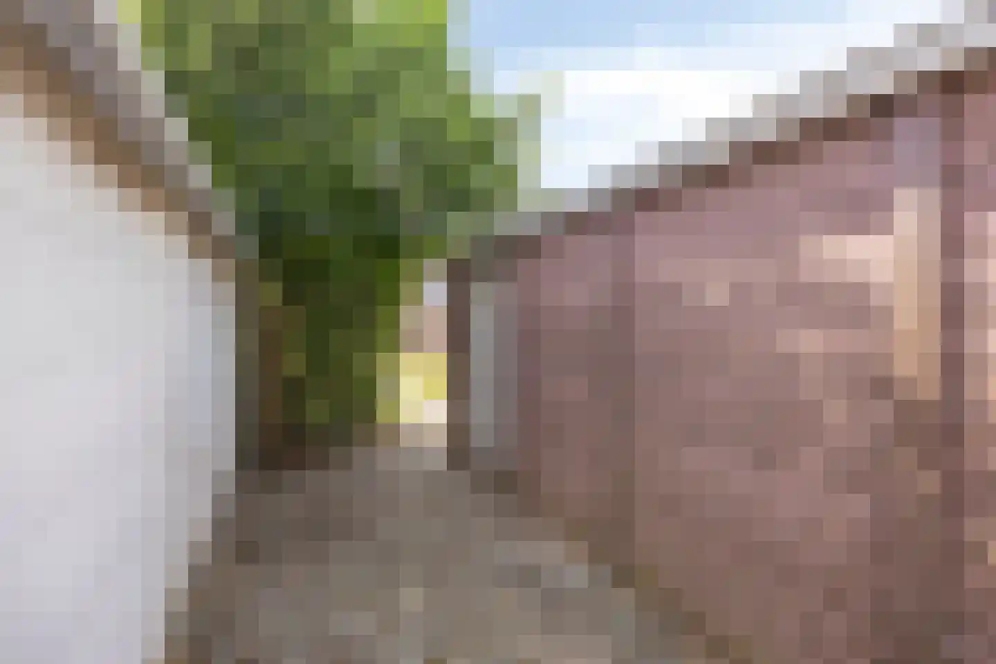 Vogelpoelstraat 26 Geldrop thumbnail 31