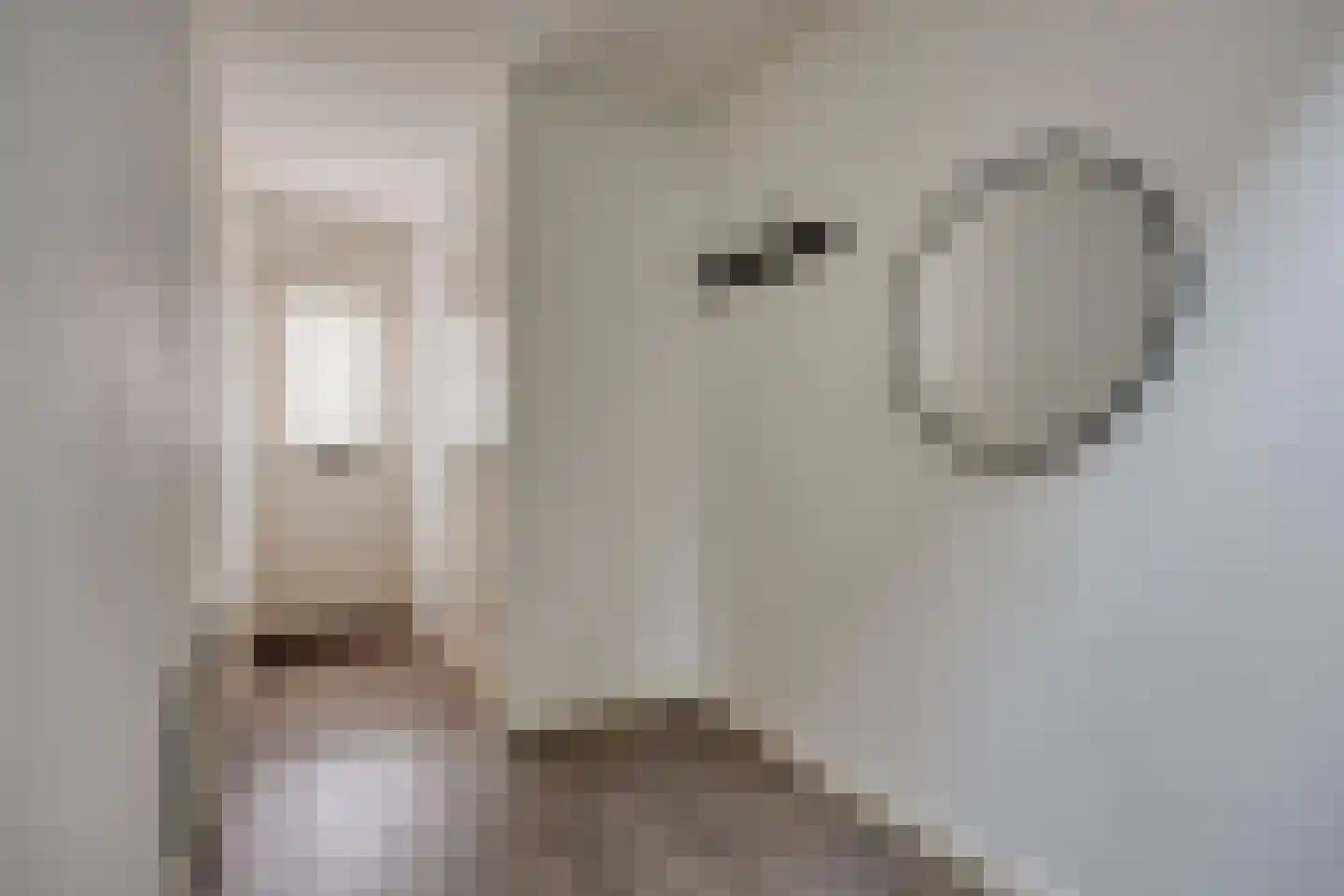 Vogelpoelstraat 26 Geldrop thumbnail 6