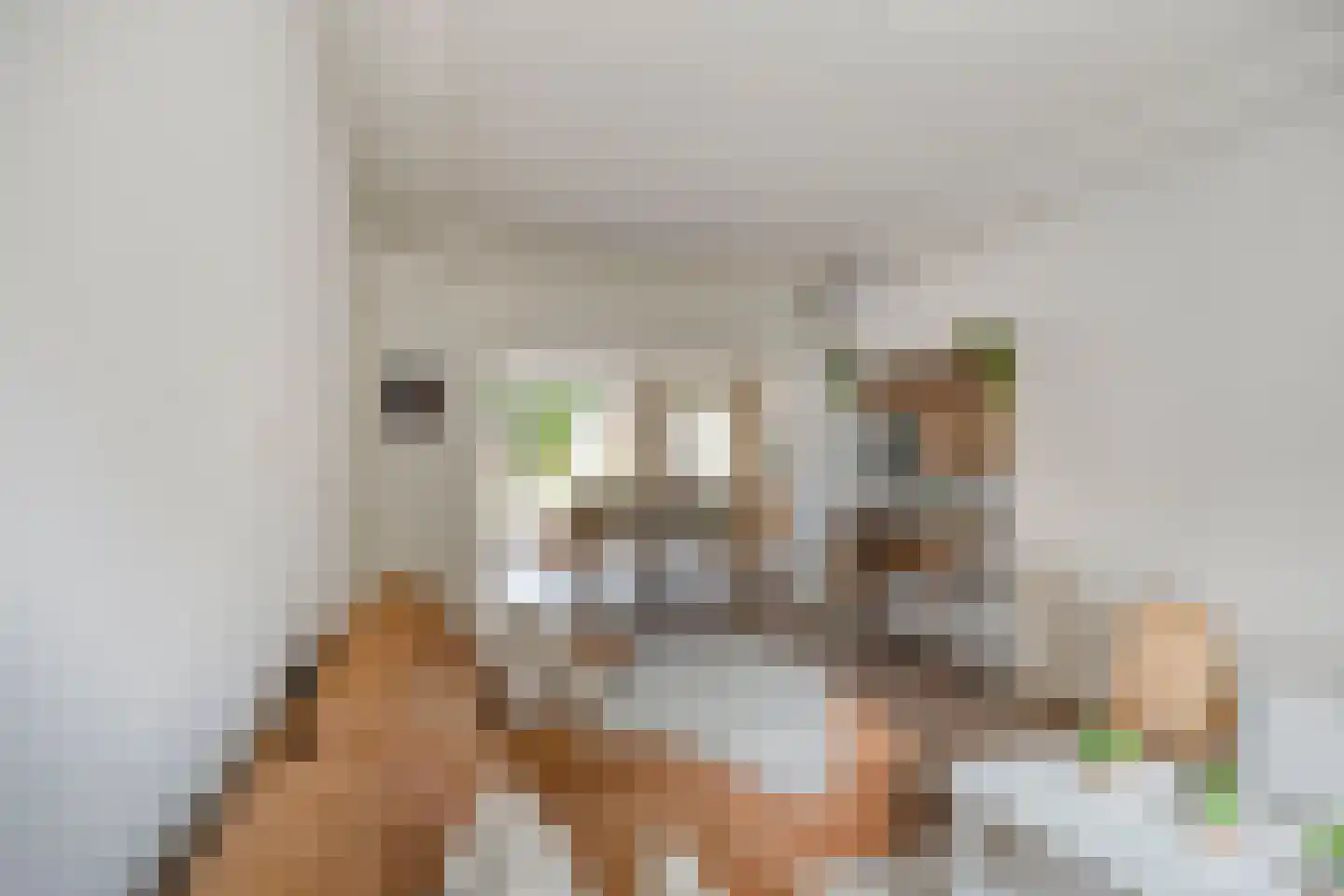 Vogelpoelstraat 26 Geldrop thumbnail 9