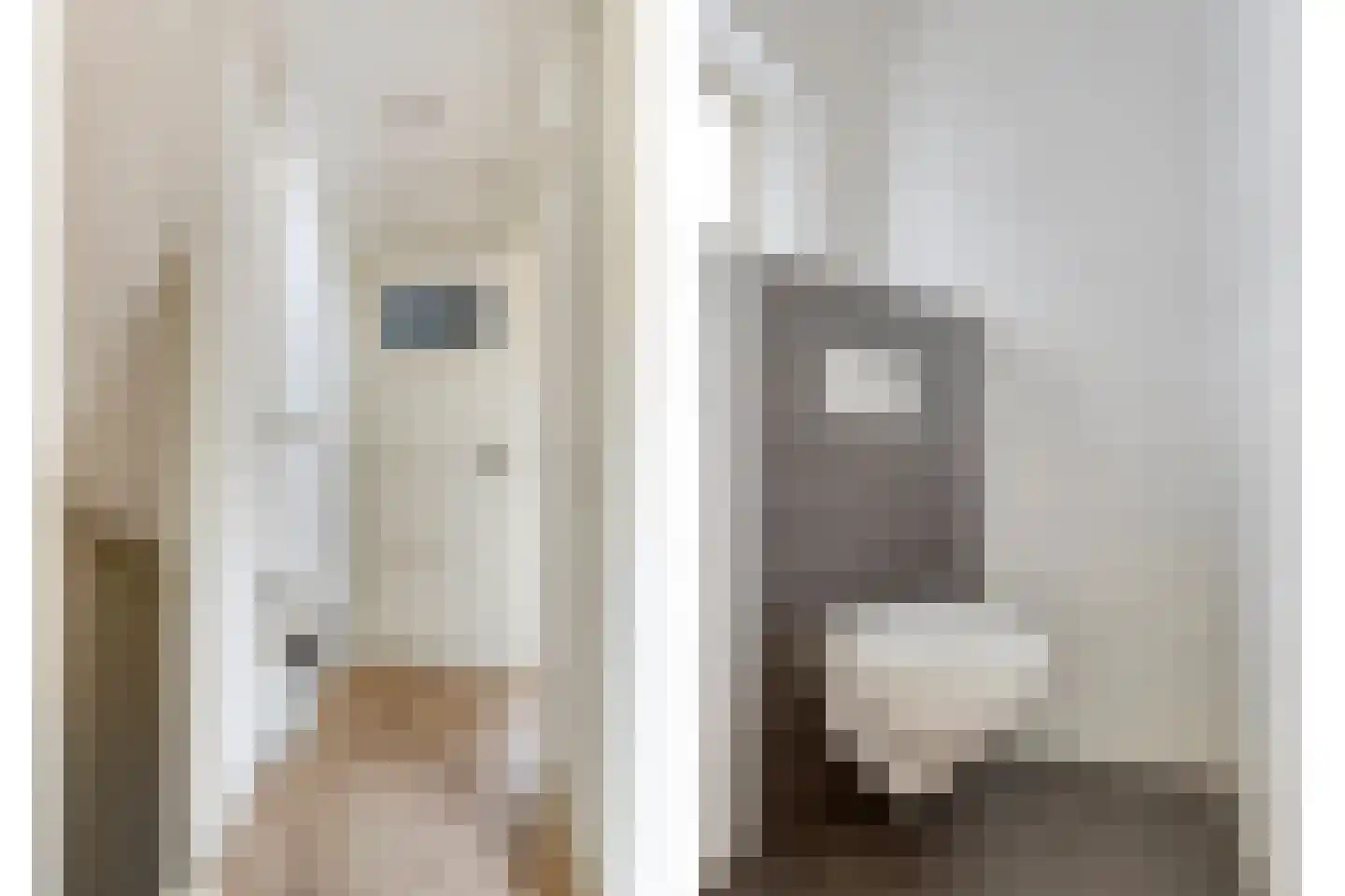 Vogelpoelstraat 9 Geldrop thumbnail 20