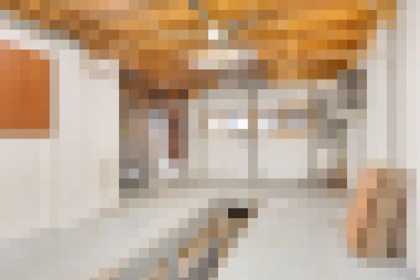 Vogelpoelstraat 9 Geldrop thumbnail 34