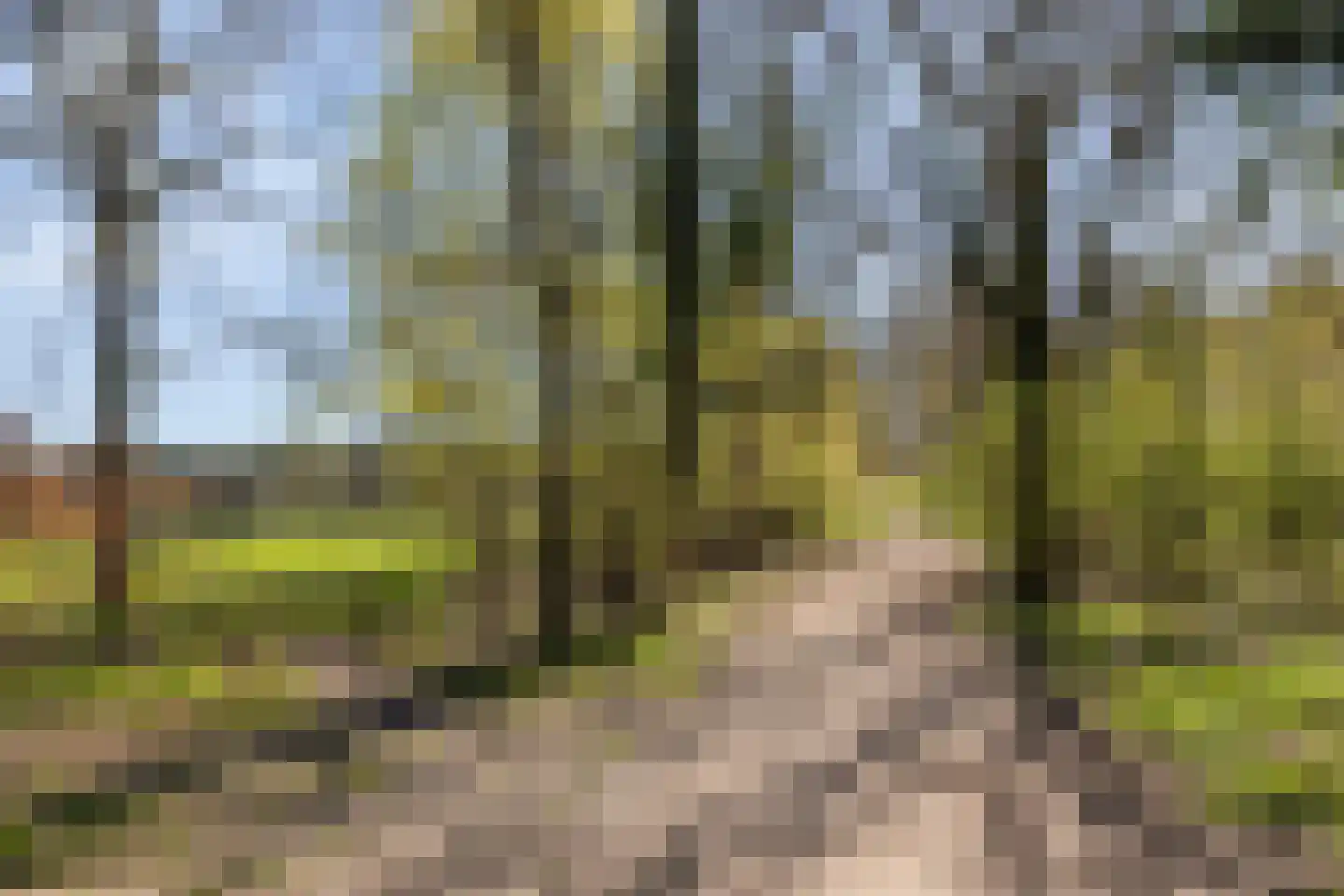 Vogelpoelstraat 9 Geldrop thumbnail 38