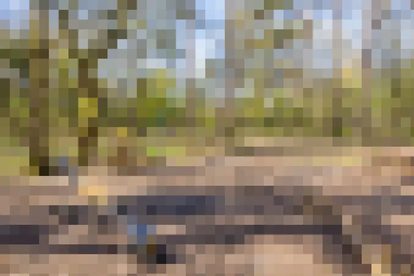 Vogelpoelstraat 9 Geldrop thumbnail 40