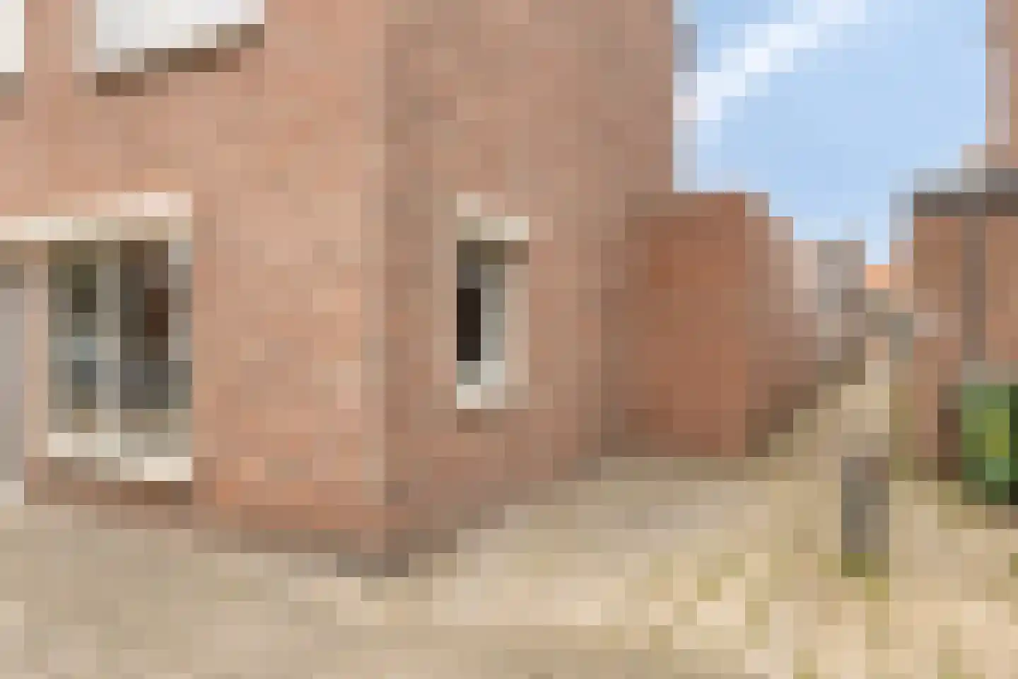 Vogelpoelstraat 9 Geldrop thumbnail 43