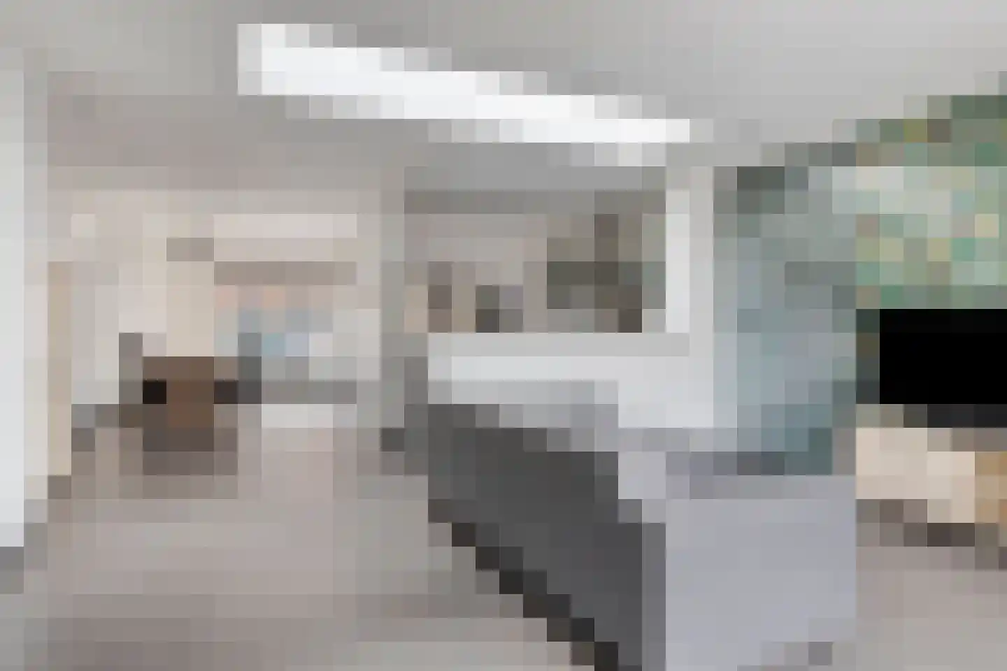 Vogelpoelstraat 9 Geldrop thumbnail 5