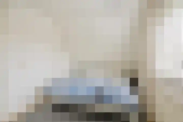 Vogelrijd 4 Fochteloo thumbnail 17