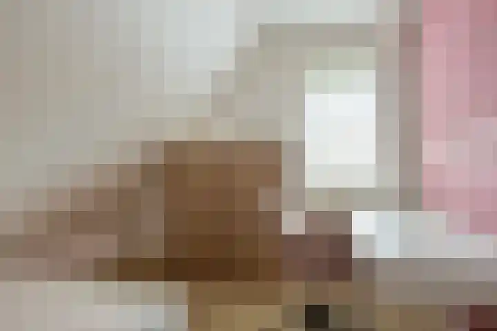 Vogelrijd 4 Fochteloo thumbnail 22