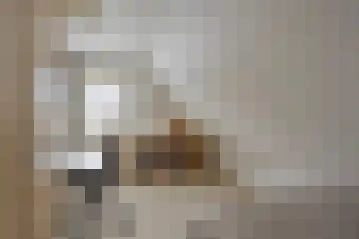 Vogelrijd 4 Fochteloo thumbnail 24
