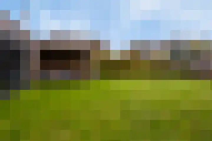 Vogelrijd 4 Fochteloo thumbnail 26