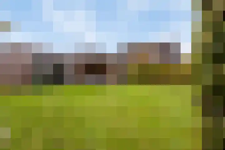 Vogelrijd 4 Fochteloo thumbnail 27