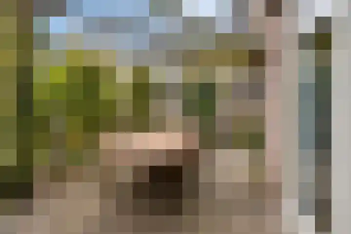Vogelrijd 4 Fochteloo thumbnail 28