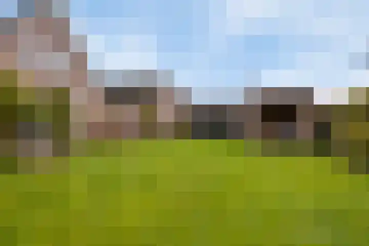 Vogelrijd 4 Fochteloo thumbnail 29