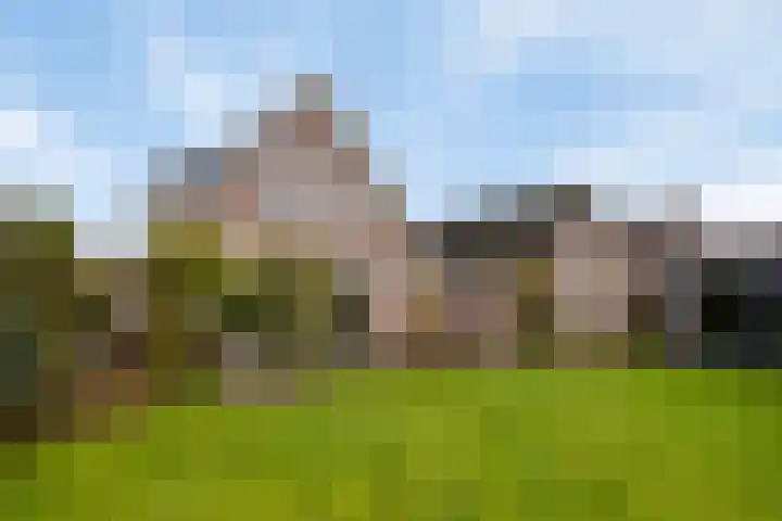 Vogelrijd 4 Fochteloo thumbnail 30