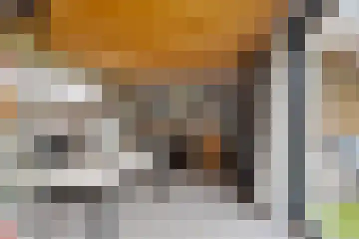 Vogelrijd 4 Fochteloo thumbnail 33