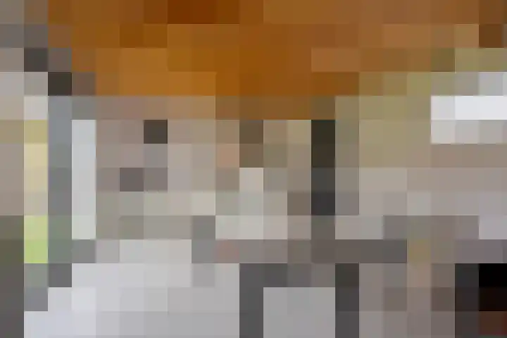Vogelrijd 4 Fochteloo thumbnail 34