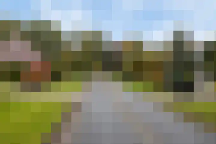 Vogelrijd 4 Fochteloo thumbnail 36