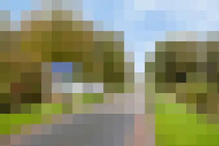 Vogelrijd 4 Fochteloo thumbnail 37