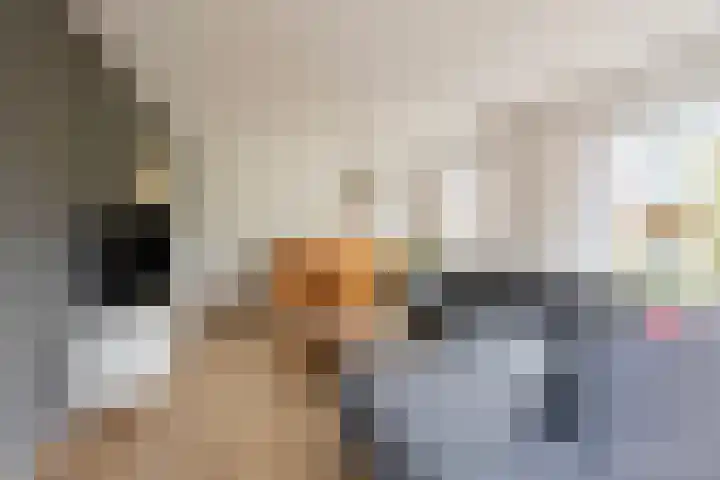 Vogelrijd 4 Fochteloo thumbnail 6