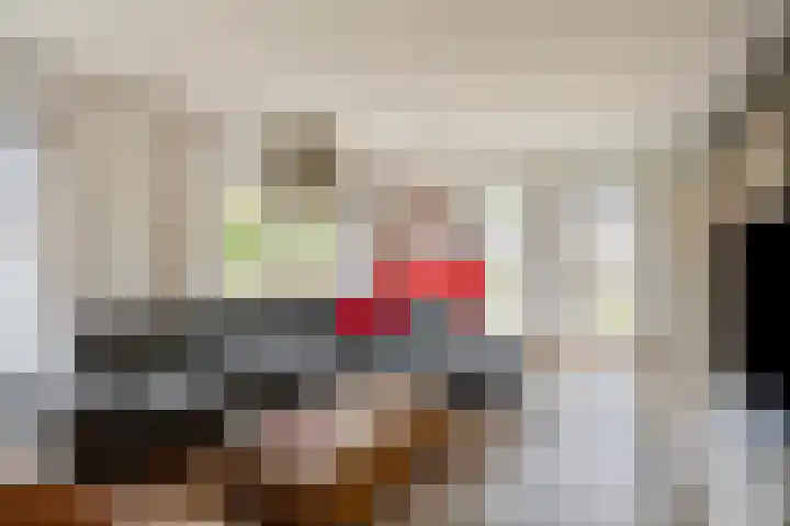 Vogelrijd 4 Fochteloo thumbnail 7