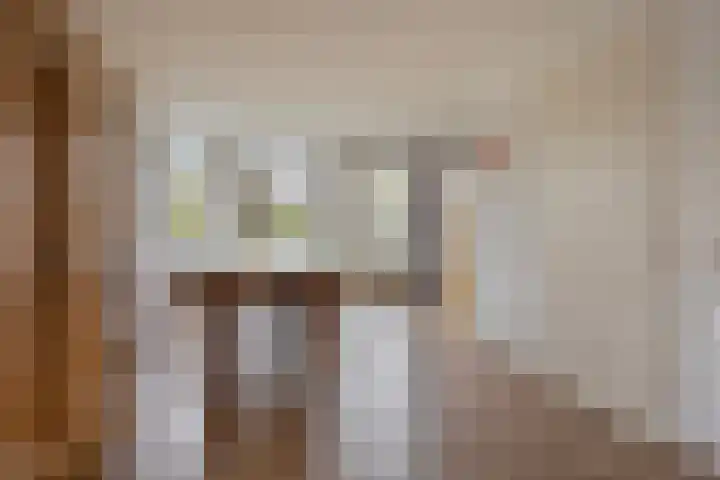 Vogelrijd 4 Fochteloo thumbnail 9