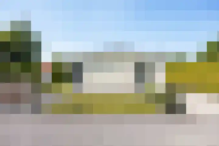 Vogels' tún 137 Tzummarum thumbnail 27