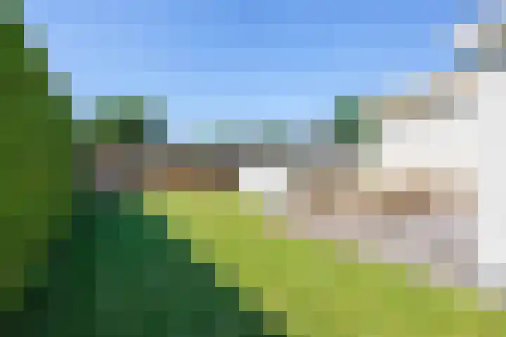 Vogels' tún 137 Tzummarum thumbnail 4
