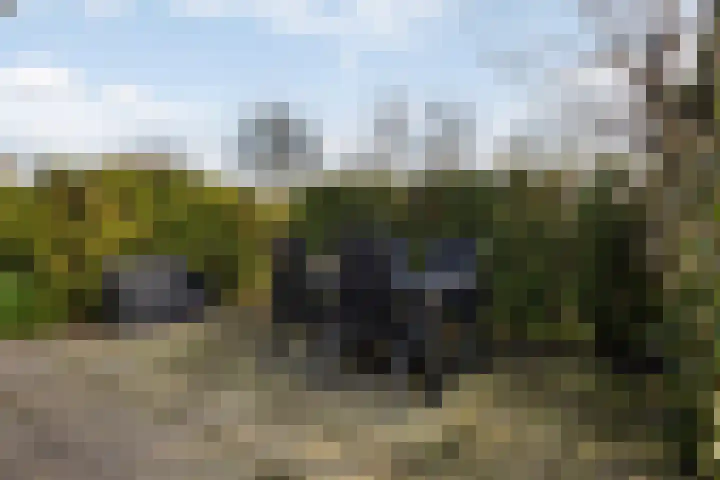 Vogels' tún 157 Tzummarum thumbnail 20