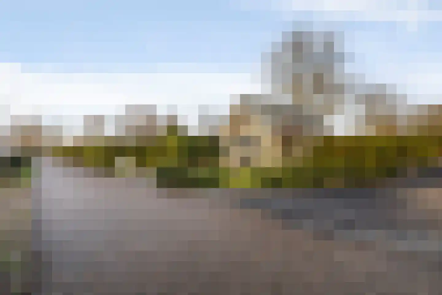 Vogels' tún 157 Tzummarum thumbnail 25
